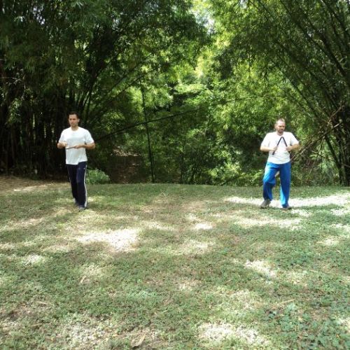 Taller Los Guayabitos Naguanagua