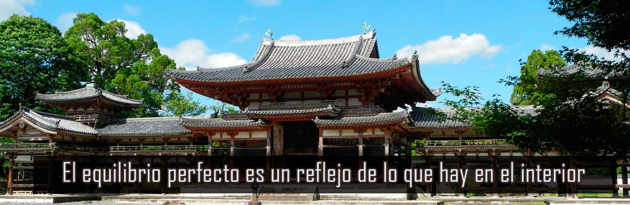clases de Jujutsu